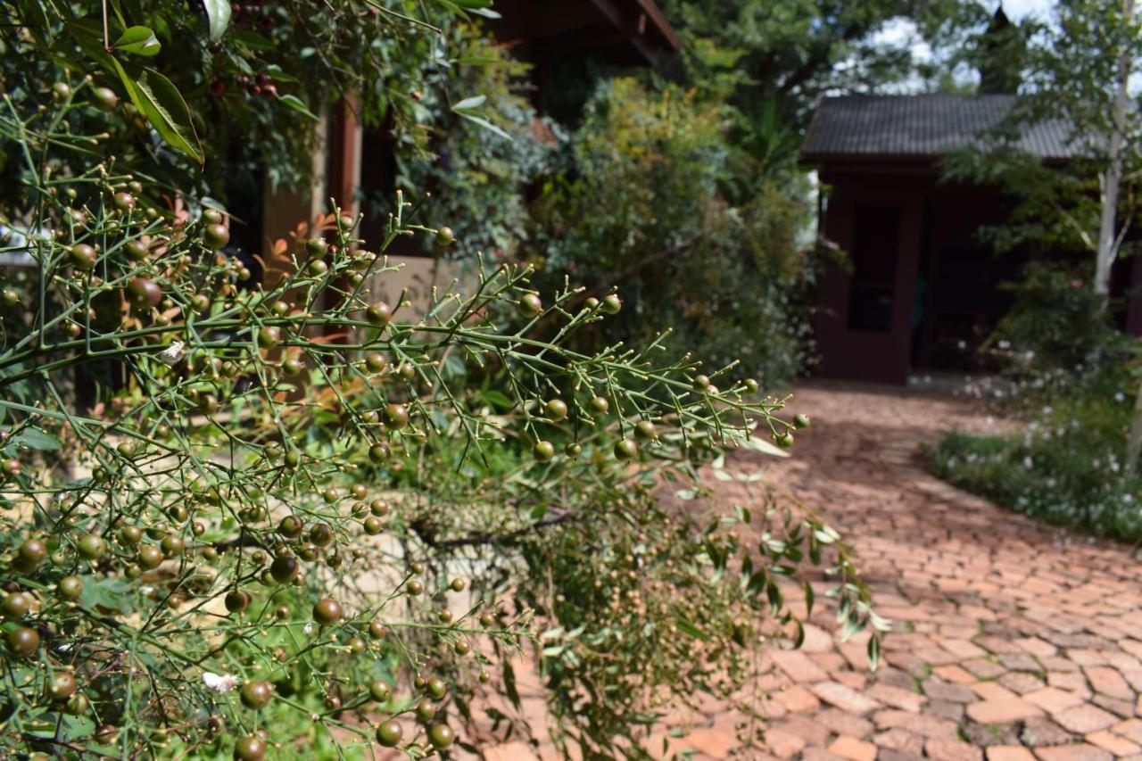 Greenleaf Guest Lodge 布隆方丹 外观 照片